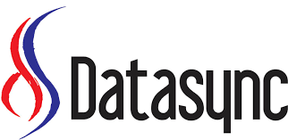 Datasync logo